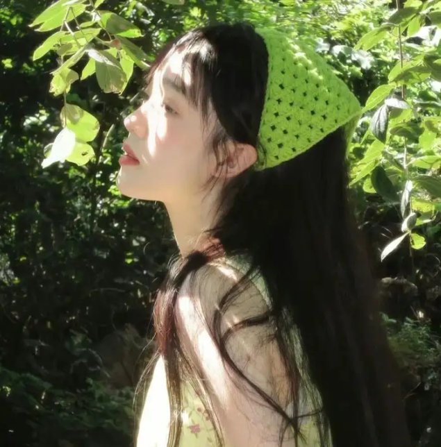阴羚